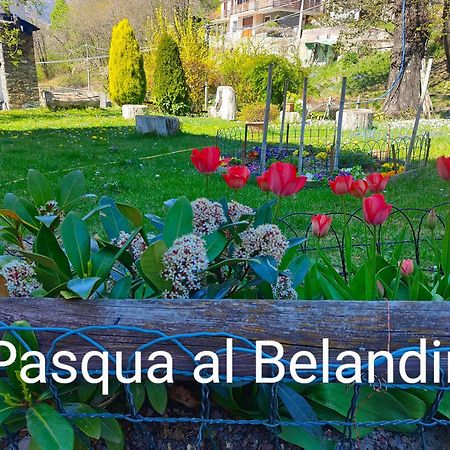 Belandin Ristorante Hotel Teglio Kültér fotó