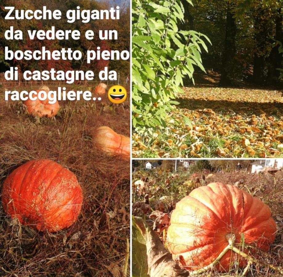 Belandin Ristorante Hotel Teglio Kültér fotó