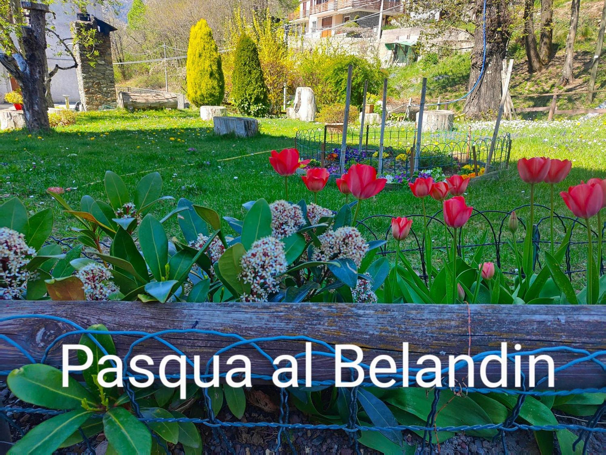Belandin Ristorante Hotel Teglio Kültér fotó